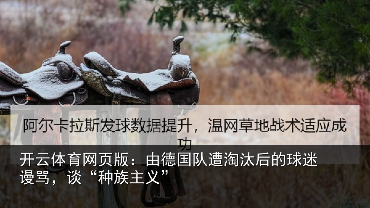 开云体育网页版：由德国队遭淘汰后的球迷谩骂，谈“种族主义”
