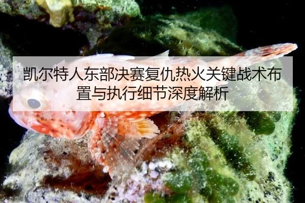 kai-er-te-ren-dong-bu-jue-sai-fu-chou-re-huo-guan-jian-zhan-shu-bu-zhi-yu-zhi-xing-xi-jie-shen-du-jie-xi-2-916.jpg