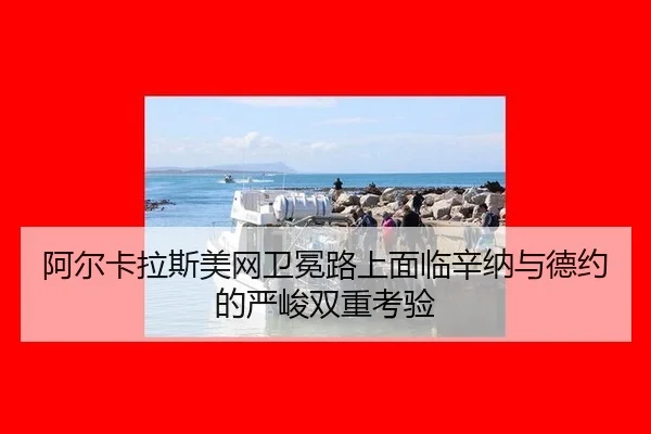 a-er-ka-la-si-mei-wang-wei-mian-lu-shang-mian-lin-xin-na-yu-de-yue-de-yan-jun-shuang-chong-kao-yan-3-629.jpg