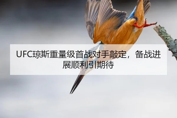 qiong-si-zhong-liang-ji-shou-zhan-dui-shou-qiao-ding-bei-zhan-jin-zhan-shun-li-yin-qi-dai-2-372.jpg